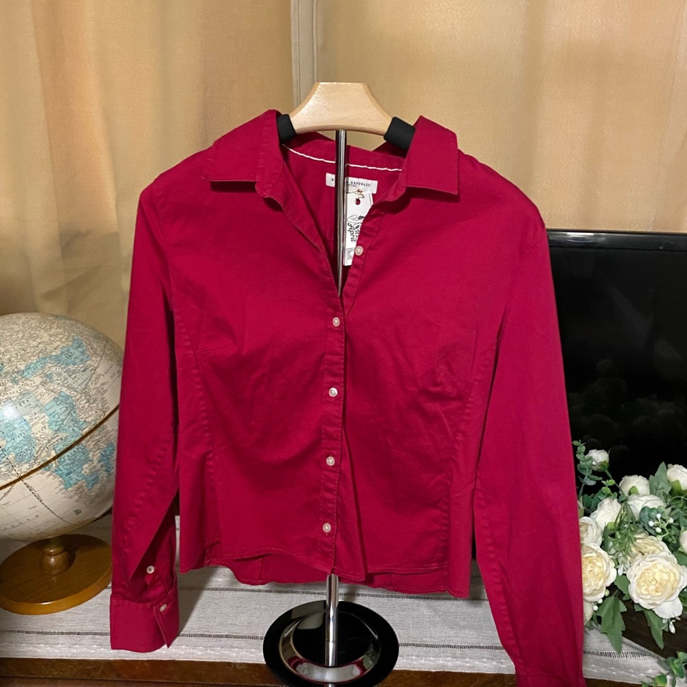 Banana Republic Pink Button Down Shirt